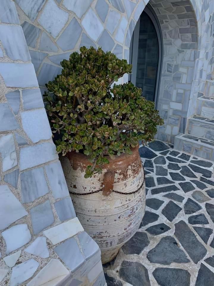 Διαμερισμα Διαμέρισμα Ναύπακτος Εξωτερικό φωτογραφία